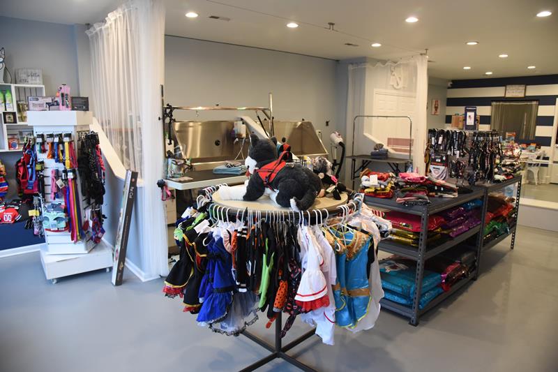 Anchored Paws Grooming Retail Self Wash Chicago, IL